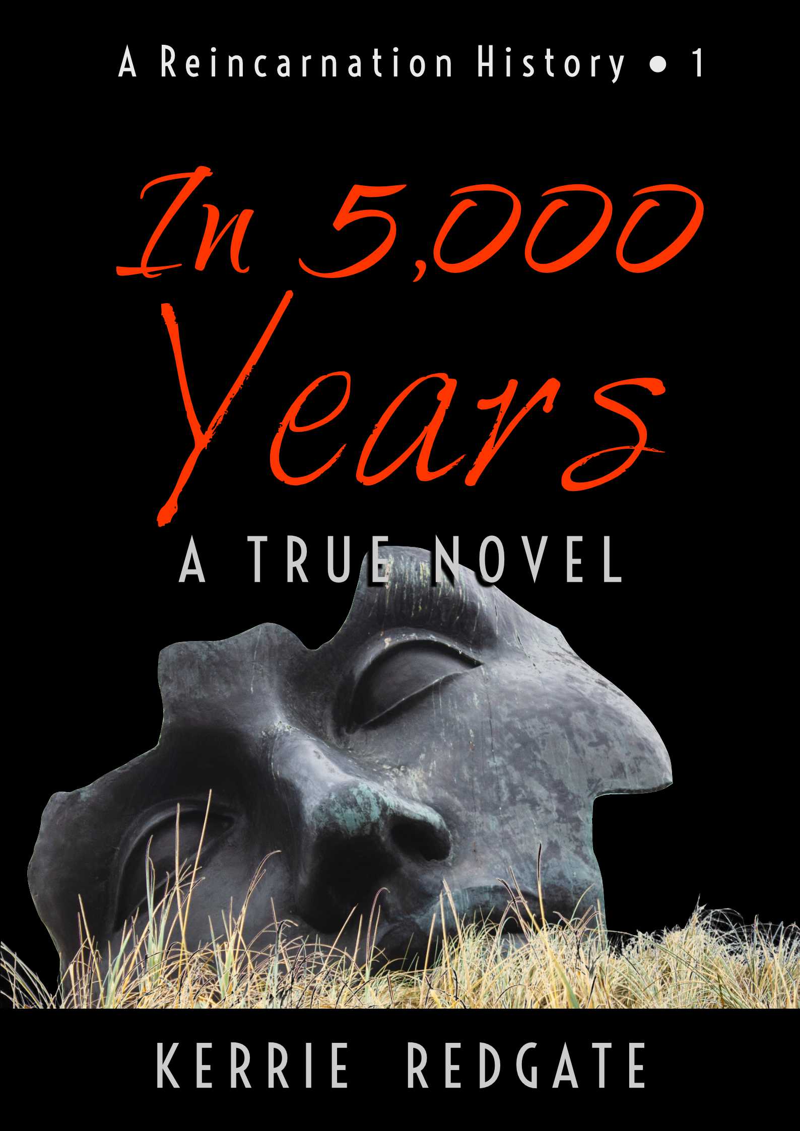 Book Cover: In 5,000 Years by Kerrie Redgate